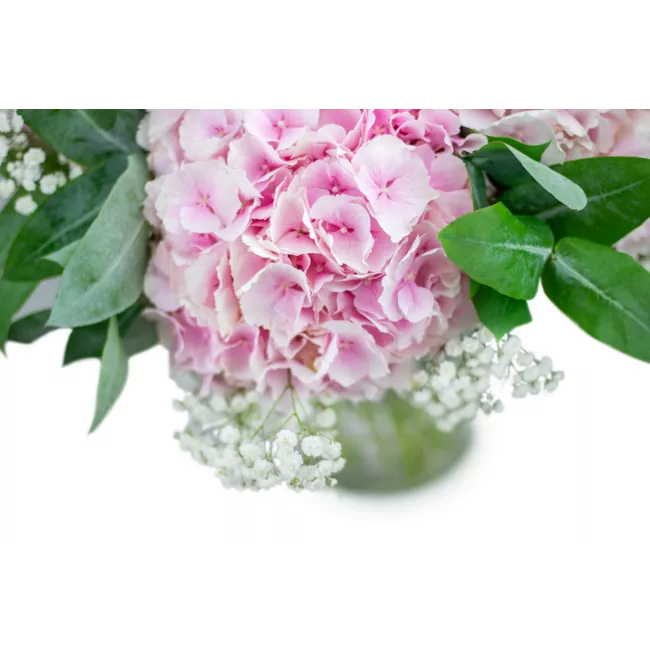 bouquet of hydrangeas